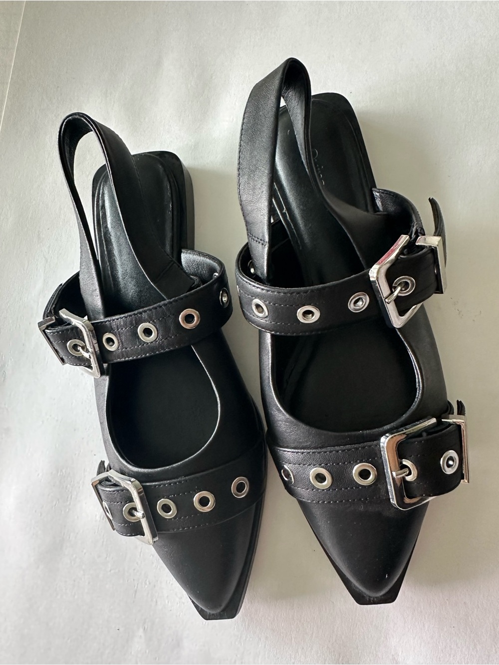 Quince Black Pointed Slingback Buckle Mules